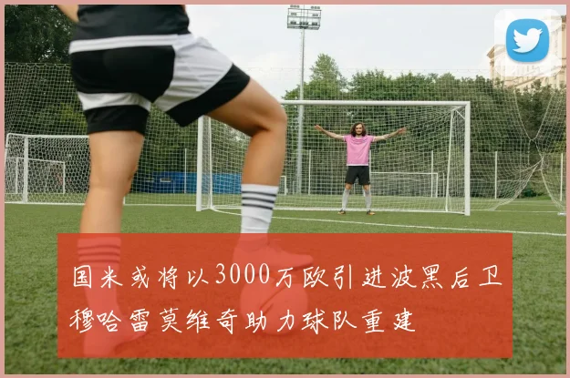 国米或将以3000万欧引进波黑后卫穆哈雷莫维奇助力球队重建
