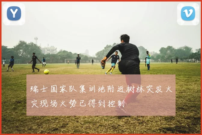 瑞士国家队集训地附近树林突发火灾现场火势已得到控制